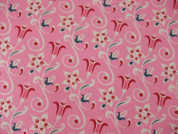Jersey Tante Ema Tulpen Tulpe rosa